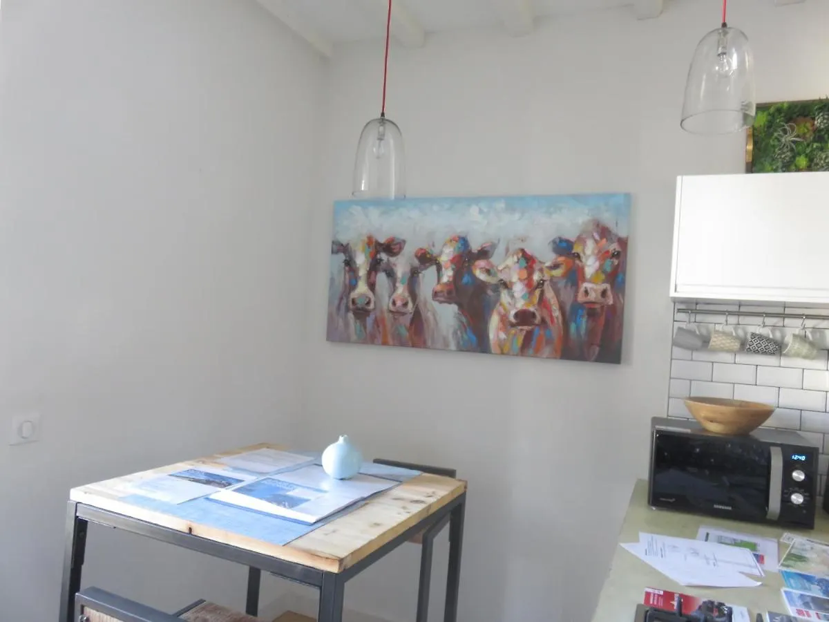 Marie Paradis Studio Apt 15 Chamonix